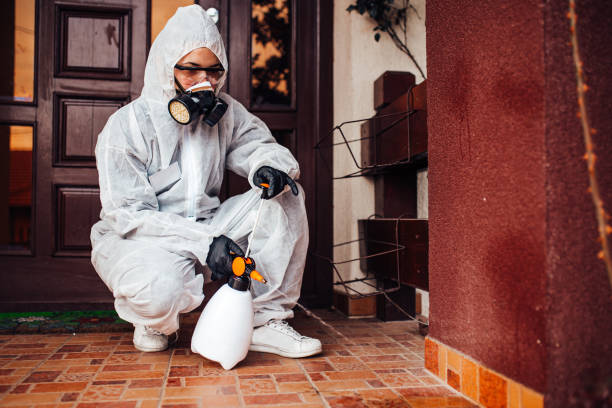 Attic and Crawl Space Rodent Treatment in Mountain Village